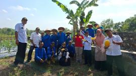 Panen Raya Bawang Merah & Semangka, BUMKal Ngudi Raharjo Kemejing